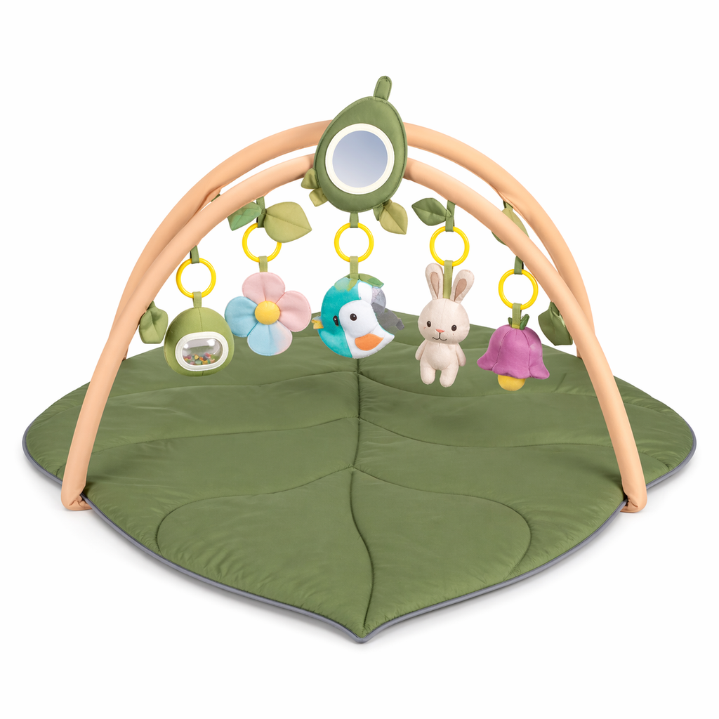 Tapis d'Éveil Bébé 2-en-1 avec Arche de Jeu - 5 Jouets Amovibles, Fond Antidérapant, Lavable Machine
